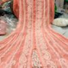 Georgette_back_panel_anarkali_kurti_with_chikankari_work