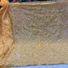Georgette_tepachi_saree_&_blouse_with_chikankari_work