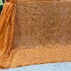 Georgette_tepachi_saree_&_blouse_with_chikankari_work
