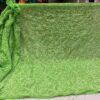 Georgette_tepachi_saree_&_blouse_with_chikankari_work