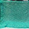 Georgette_tepachi_saree_&_blouse_with_chikankari_work