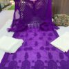 Georgette_tone_to_tone_bell_sleeves_kurti_with_chikankari_work