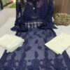 Georgette_tone_to_tone_bell_sleeves_kurti_with_chikankari_work