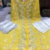 Georgette_a_line_kurti_with_mirror_nd_chikankari_work