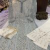 Georgette_mahi_jaal_kurti_with_gota_and_chikankari_work