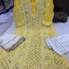 Georgette_mahi_jaal_kurti_with_gota_and_chikankari_work