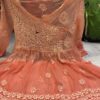 Georgette_dye_short_gown_kurti_with_chikankari_work