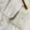 Georgette_bell_sleeves_lace_short_top_kurti_with_chikankari_work