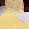 Kota_cotton_daul_shade_kurti_with_chikankari_work