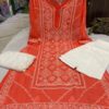 Georgette_panel_kurti_with_chikankari_work