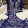 Georgette_panel_kurti_with_chikankari_work