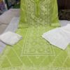Georgette_panel_kurti_with_chikankari_work