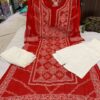 Georgette_panel_kurti_with_chikankari_work