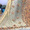 Georgette_resham_keel_jaal_saree_&_blouse_with_chikankari_work