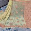 Georgette_resham_keel_jaal_saree_&_blouse_with_chikankari_work
