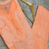Exclusive_Lucknowi_chikankari_tei_rubia_cotton_front_jaal_kurti