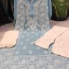 Georgette_side_border_kurti__with_chikankari_work