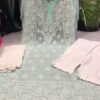 Georgette_side_border_kurti__with_chikankari_work