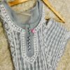 Georgette_fancy_panel_kurti_with_chikankari_work