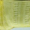 Georgette_all_over_heavy__jaal_sarees_with_chikankari__work