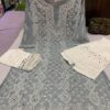 Georgette_panel_kurti_with_mirror_chikankari_work
