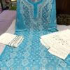 Georgette_panel_kurti_with_mirror_chikankari_work