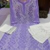 Georgette_panel_kurti_with_mirror_chikankari_work