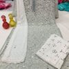 Georgette_chikankari_mirror_Rose_jaal_kurti