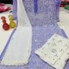 Georgette_chikankari_mirror_Rose_jaal_kurti