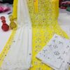 Georgette_chikankari_mirror_Rose_jaal_kurti