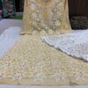 Georgette_star_jaal_chikankari_kurti_with_gota_work