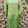 Masleen_Cotton_dual_shade_chikankari_kurti