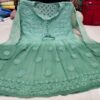 Georgette_dual_shade_short_chikankari_gown