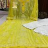 Georgette_panel_jaal_Chikankari_kurti
