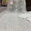Georgette_panel_jaal_Chikankari_kurti