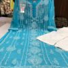 Georgette_panel_jaal_Chikankari_kurti