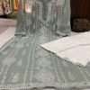 Georgette_panel_jaal_Chikankari_kurti