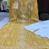 Georgette_panel_jaal_Chikankari_kurti