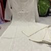 Pure_cotton_panel_chikankari_kurti