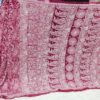Georgette_all_over_heavy__jaal_sarees