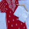 Pure_Cotton_Pintex_sleeves_chikankari_kurti