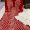 Georgette_panel_jaal_chikankari_kurti