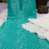 Georgette_panel_jaal_chikankari_kurti