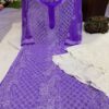 Georgette_panel_jaal_chikankari_kurti