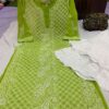 Georgette_panel_jaal_chikankari_kurti