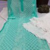 Georgette_panel_jaal_chikankari_kurti