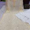 Georgette_panel_jaal_chikankari_kurti