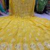 Georgette_chikankari__anarkali_with_mirror_work