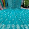 Georgette_chikankari__anarkali_with_mirror_work