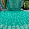 Georgette_chikankari__anarkali_with_mirror_work